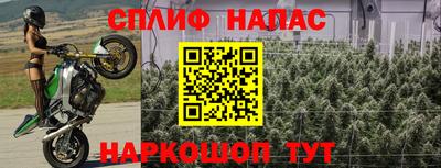 наркотики Будённовск