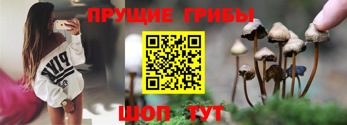 Псилоцибиновые грибы MAGIC MUSHROOMS  Вход с VPN  наркотики  Галлюциногенные грибы Cubensis  Магнитогорск 
